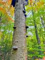0 Cider Mountain Road - Photo 37