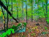 0 Cider Mountain Road - Photo 38