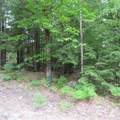Lot 67 Sandwich Slopes Road - Photo 5