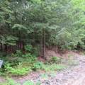 Lot 67 Sandwich Slopes Road - Photo 8