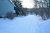 15 Tamarack Road - Photo 27