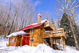 109 Upper Loop - Photo 47