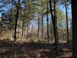481 Chocorua Mountain Highway - Photo 4