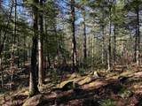 481 Chocorua Mountain Highway - Photo 5