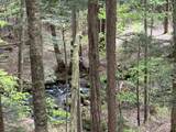 Lot 5 Old Mill Crossing - Photo 7