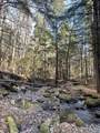 Lot 4 Old Mill Crossing - Photo 16