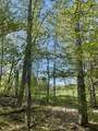 530 Finbars Forest Road - Photo 3