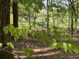 530 Finbars Forest Road - Photo 7