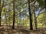 530 Finbars Forest Road - Photo 8