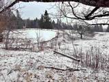 1275 Chesley Hill Road - Photo 42