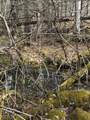  Garland Road - Photo 14