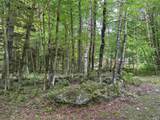 00 Ice Pond Road - Photo 10