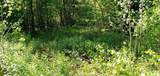 00 Arnold Lane - Photo 3