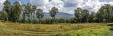 500 Nims Road - Photo 18