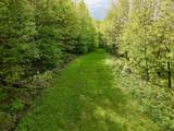 000 Rabbit Run - Photo 5