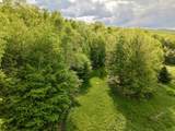 000 Rabbit Run - Photo 7