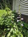 98 Merchant Street - Photo 6
