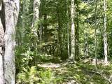 826 Bousquet Road - Photo 45