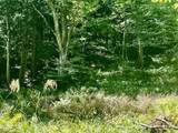 826 Bousquet Road - Photo 46