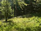 826 Bousquet Road - Photo 47