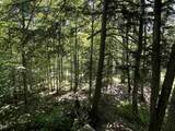 826 Bousquet Road - Photo 48
