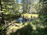 826 Bousquet Road - Photo 52
