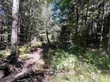 826 Bousquet Road - Photo 54