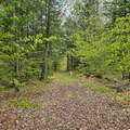 1175 Quarry Road - Photo 9