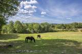 1204 Bailey Road - Photo 50