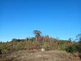 Lot 30 Kings Highway - Photo 35