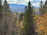 397 Mountain View Road - Photo 26