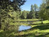 64 Needle Leaf Lane - Photo 4