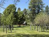 64 Needle Leaf Lane - Photo 44