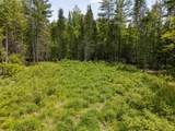 40 Bear Paw Trail - Photo 5