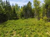 40 Bear Paw Trail - Photo 6