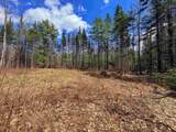 40 Bear Paw Trail - Photo 9