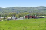 344 Morrie Road - Photo 35