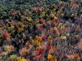 2334 Pumpkin Village Road - Photo 43