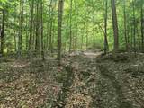 TBD Farrar Road - Photo 4