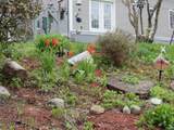 1901 Cross Road - Photo 5