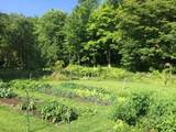 1607 Massey Road - Photo 50