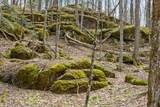 0 Bullock Road - Photo 12