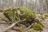 0 Bullock Road - Photo 17