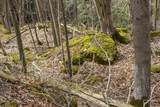 0 Bullock Road - Photo 31