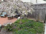 545 South Prospect Street - Photo 55