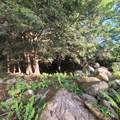 713 South Hill Road - Photo 14