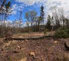 169 Sun And Ski Road - Photo 2