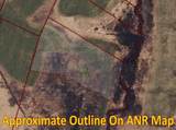 Lot 12 Paradis Lane - Photo 8