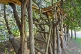 138 Foster Street - Photo 45