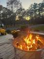 1537 Lake Dunmore Road - Photo 3